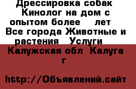 Дрессировка собак (Кинолог на дом с опытом более 10 лет) - Все города Животные и растения » Услуги   . Калужская обл.,Калуга г.